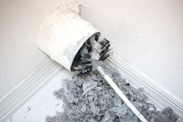Best HVAC System Cleaning  in Bloomfield, MO